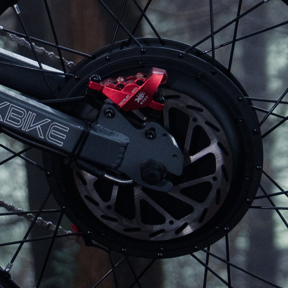 2-Piston Hydraulic Disc Brakes